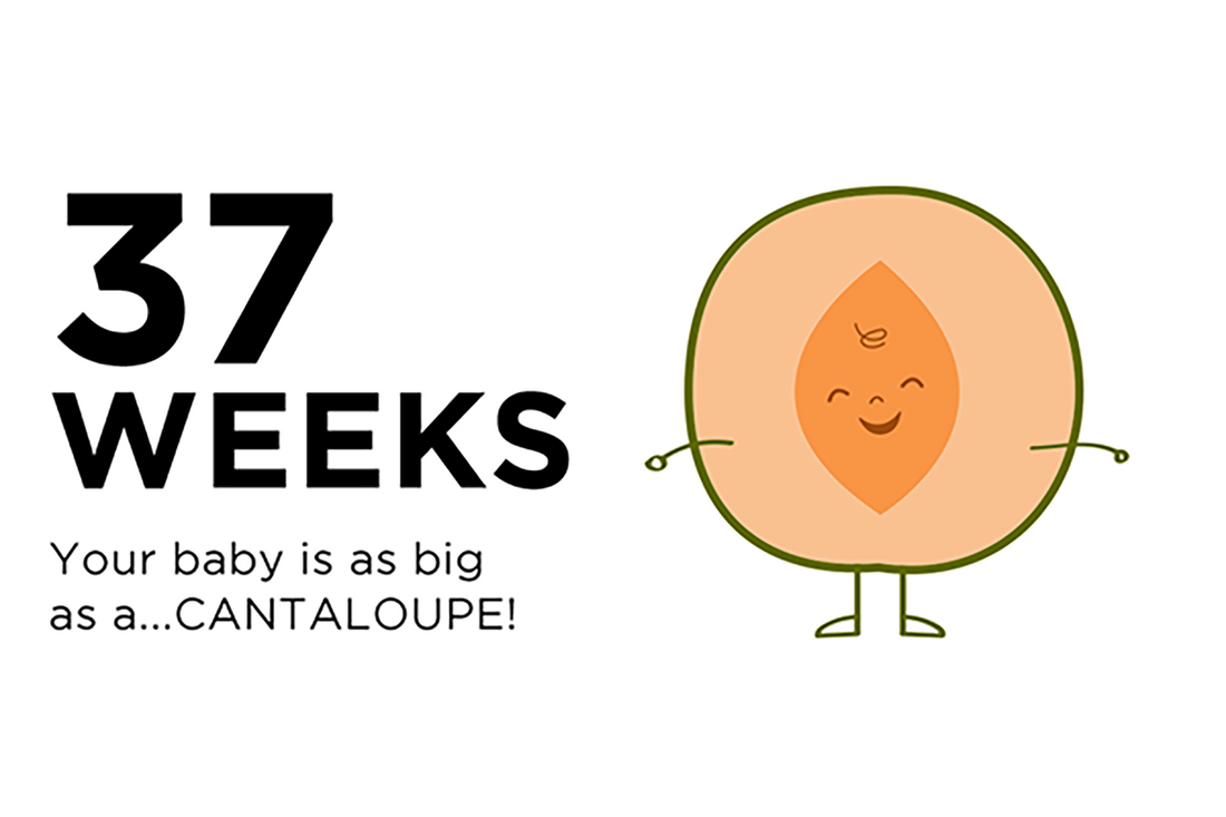 37-weeks-pregnant-your-baby-is-as-big-as-a-cantaloupe
