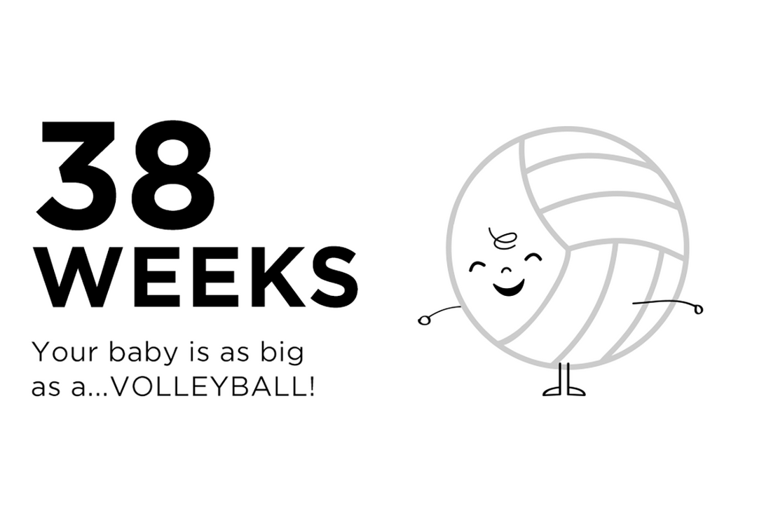 38-weeks-pregnant-your-baby-is-as-big-as-a-volleyball